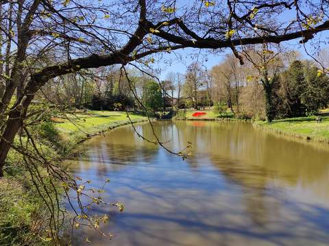 kertek és parkok tavasz tó