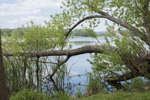 Kis-Balaton