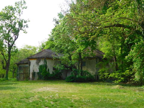 Nádasdy-kastélyparkban, Nádasdladány