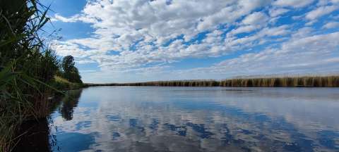 Holt Tisza