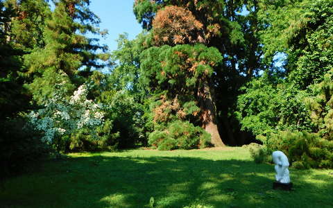 Kámoni Arborétumban - Szombathely