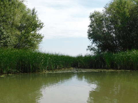 Tiszató