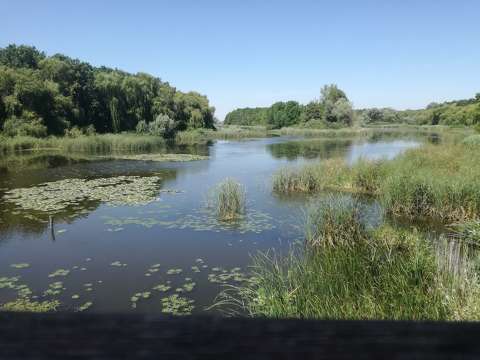 Kis-Balaton
