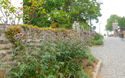 Tihanyban