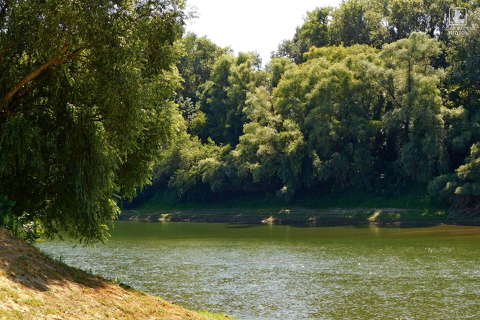 folyó, magyarország, tisza