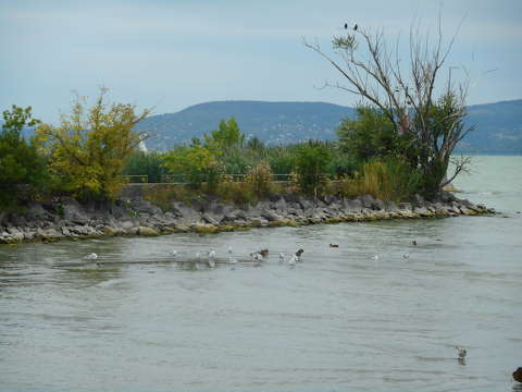 Balatonlelle