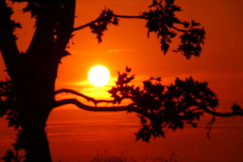 Keretbe foglalva.