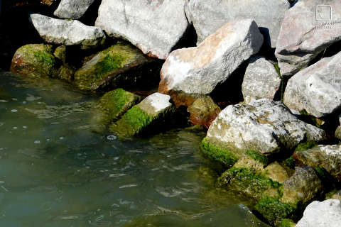 kövek, víz, balaton