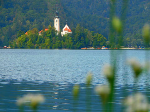Bledi-tó,  Bledi sziget, Szűz Mária búcsújáró templom, Szlovénia