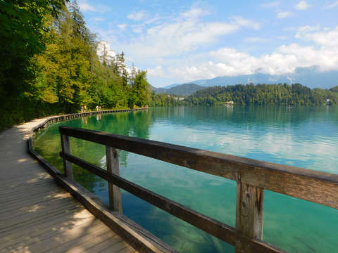Bledi tó, Szlovénia