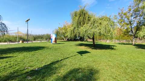 Elárvult strand Balatonkenesén