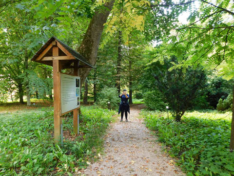 Bakonybél, Bencéskert