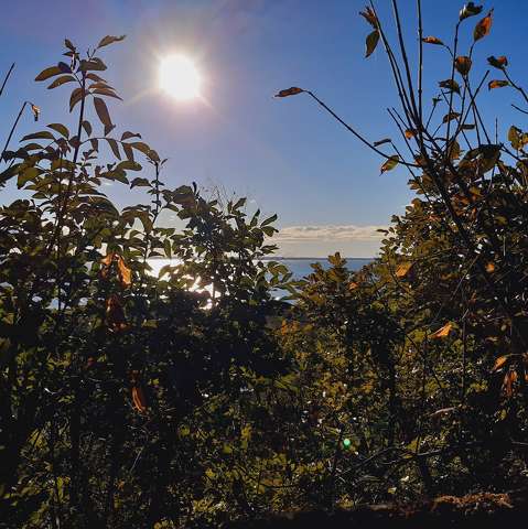 Balatonalmádi