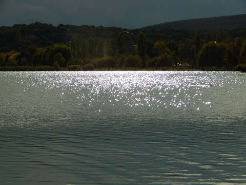 Balaton, csendélet