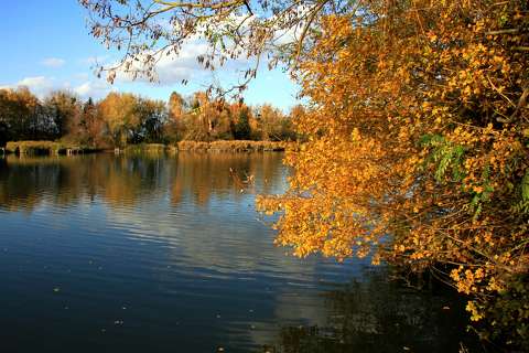 címlapfotó tó ősz