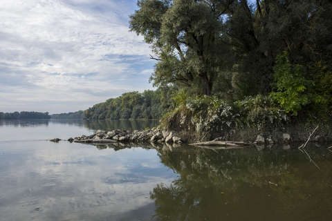 Dráva