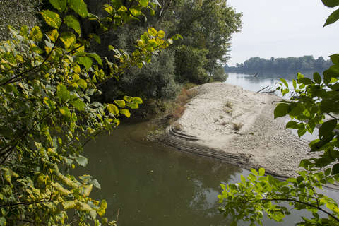 Dráva