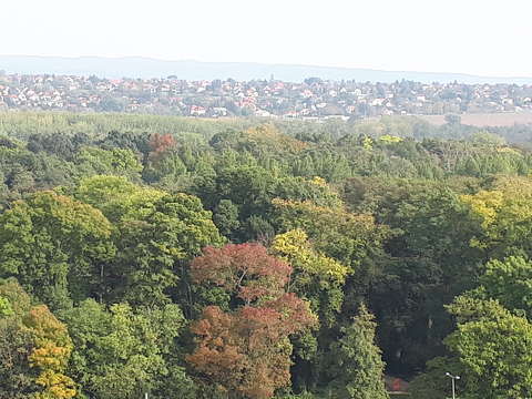 Hévízi panoráma