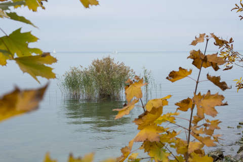 balaton magyarország tó ősz