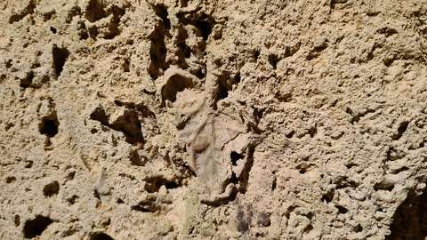 Lillafüred Szent István-barlang/megkövesedett falevél