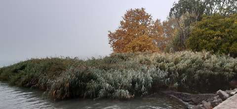 Balatonalmádi ősz.