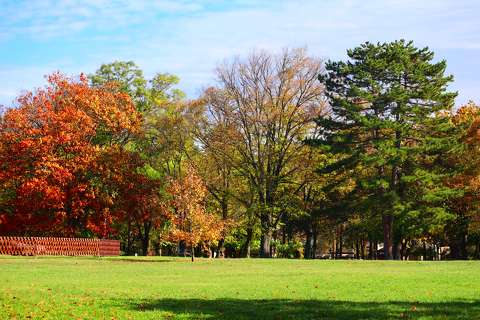 ősz, Balatonakarattya, park