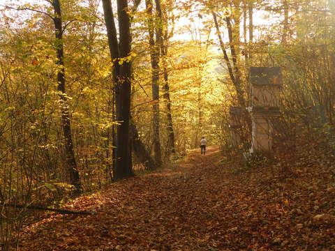 Bakonybéli Borostyán-kút (Szent-kút), Szent Gellért-kápolna és kálvária