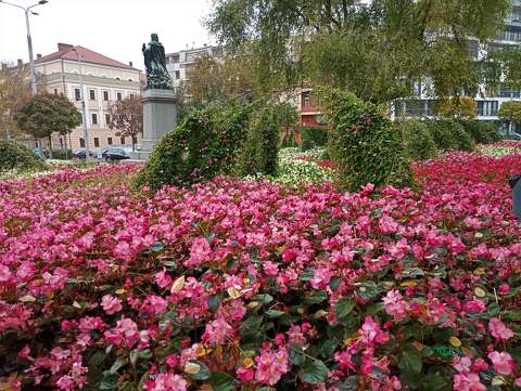 Debrecen Kálvin tér, kertek és parkok