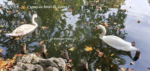 Les Bords du Loiret