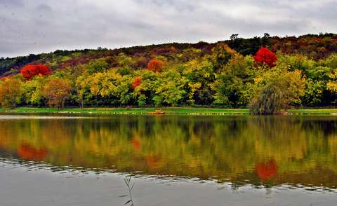 címlapfotó erdő tükröződés ősz
