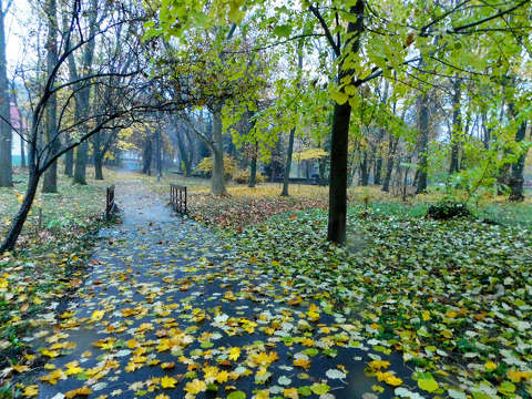 Ősz, Doktorkert, Balatonfűzfő