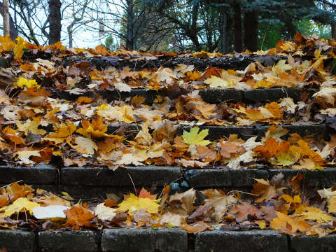 Lépcső ősszel