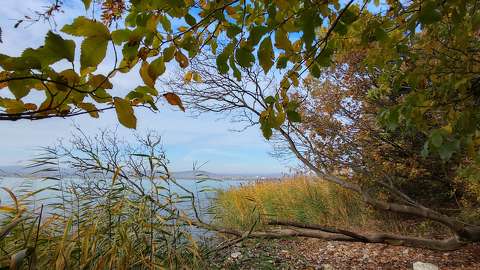balaton magyarország tó