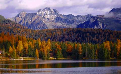 címlapfotó erdő hegy tó