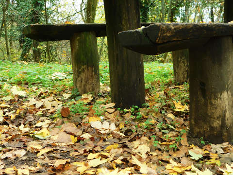 Novemberi pihenő