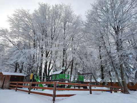 Fagyos hangulat, csendélet, Kékestető, tél