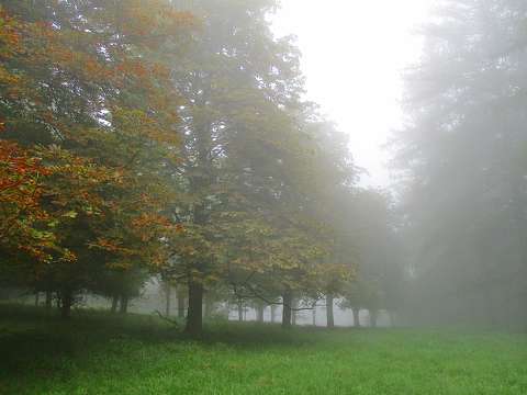 címlapfotó köd ősz