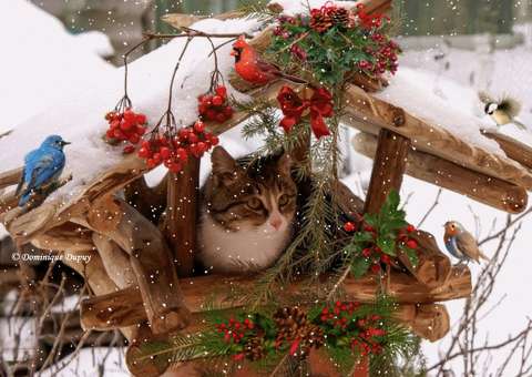 Birdhouse