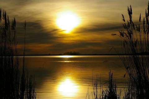 címlapfotó naplemente nád tó