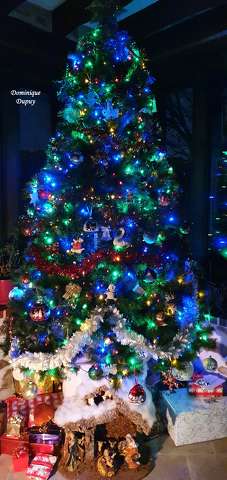 Sapin de Noël