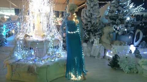 La Reine des Neiges