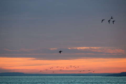 Szitáló esőben Balaton.