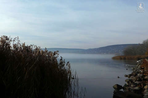 balaton, balatonalmádi, víz, nádas, magyarország