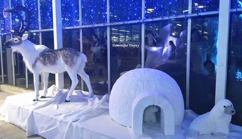 Décoration de Noël