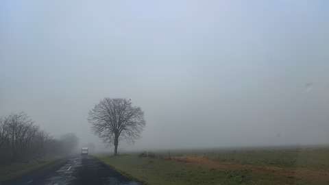 Úton a ködben