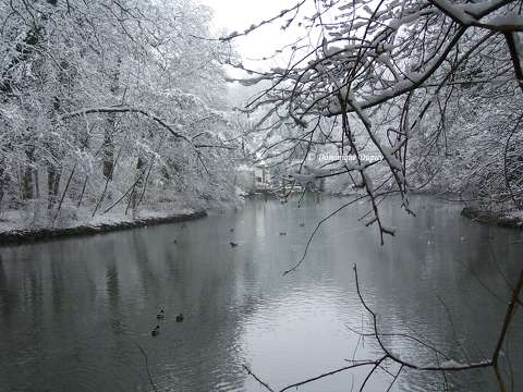Le Loiret en hiver