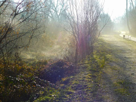Sétány a ködben - Balatonfűzfő