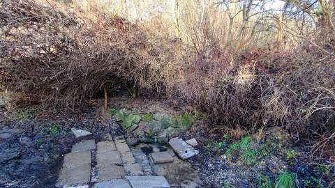 Bagi Petőfi forrás