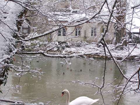 Le Loiret en Hiver