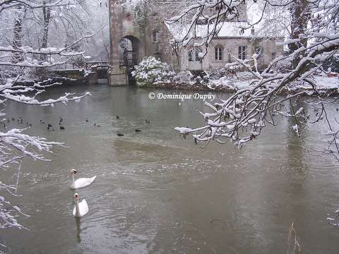 Le Loiret en Hiver